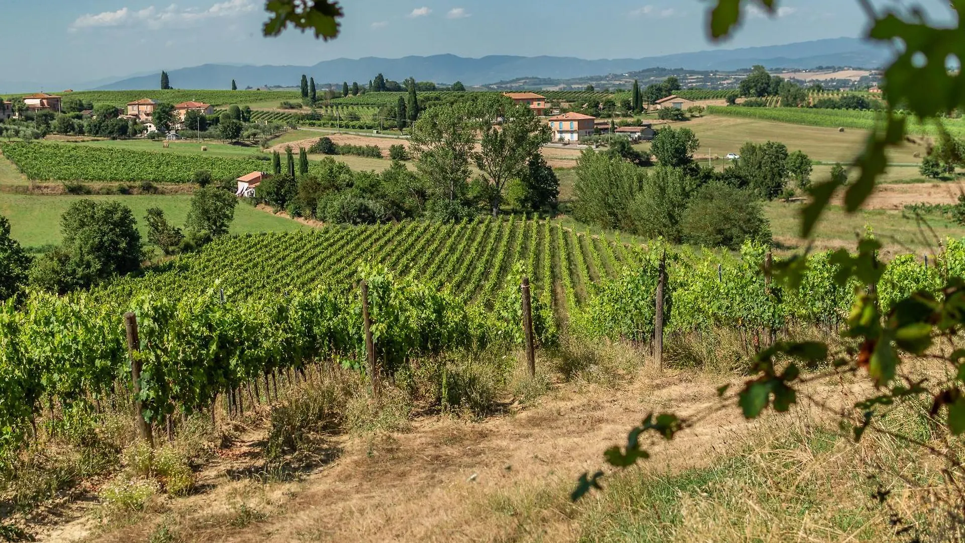 ロッジ Villa Sangiovese Con Ampio Giardino アッバディーア・ディ・モンテプルチャーノ イタリア