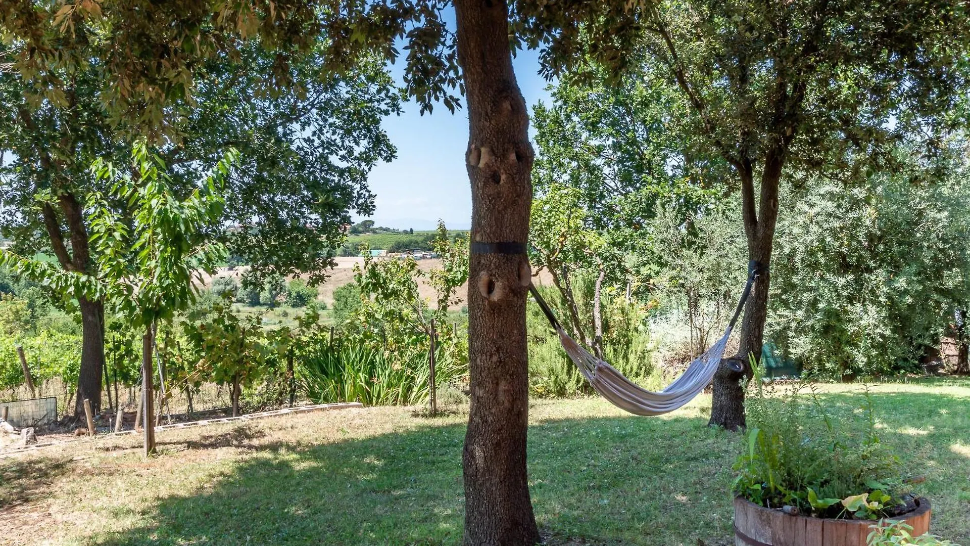 Villa Sangiovese Con Ampio Giardino アッバディーア・ディ・モンテプルチャーノ